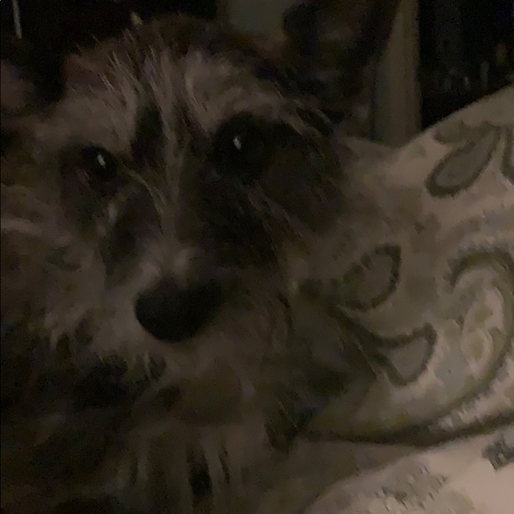 Meet your Posher, Joseph - Picture 1 of 1